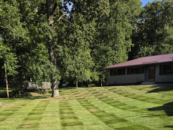 parsons-pro-service-lawn-green-600x450