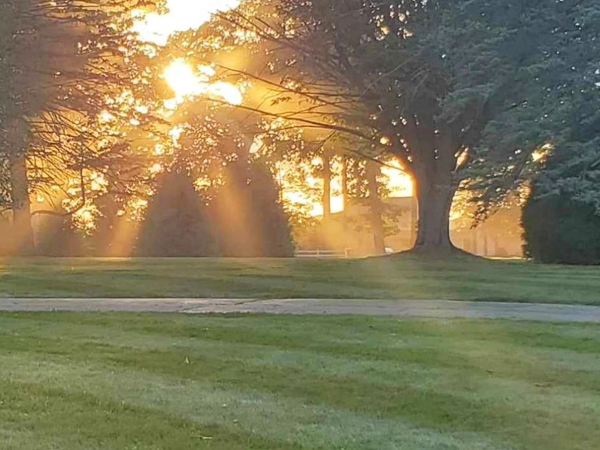 parsons-pro-service-lawn-sunset-600x450