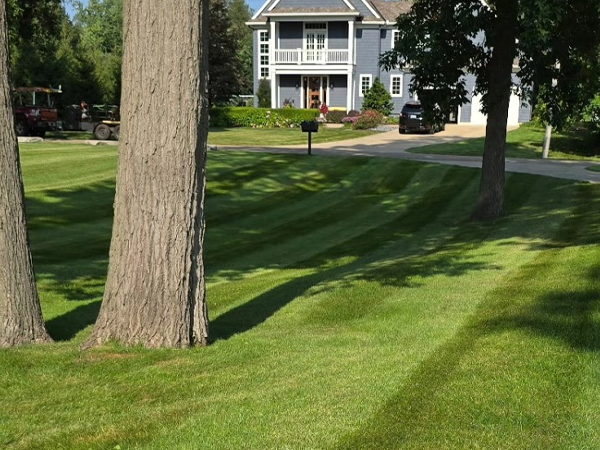 parsons-pro-service-mowed-lawn-600x450