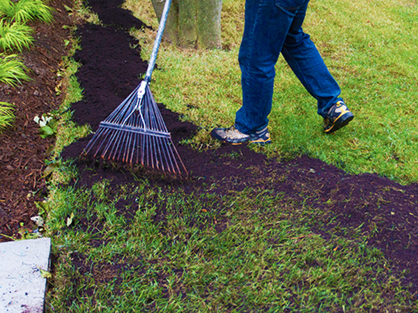 Parsons Pro Service Lawn Care Battle Creek Lawn Seeding and Over-seeding Service.