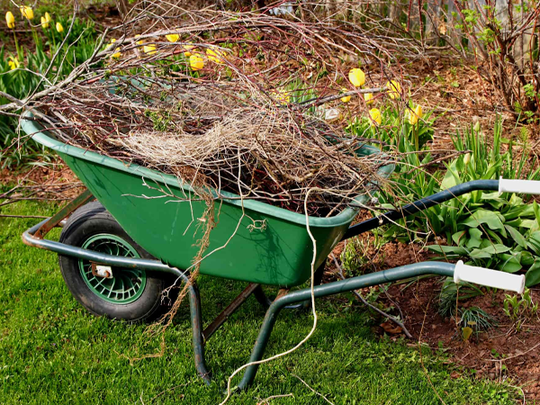 parsons-pro-service-yard-cleanup-600x450